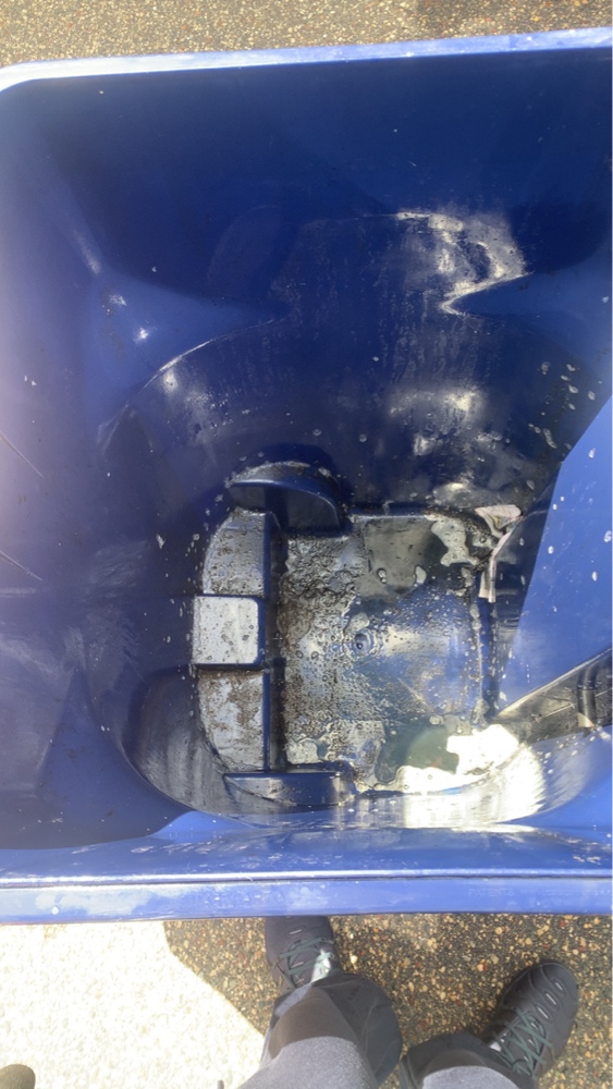 Dirty trash bin before professional cleaning